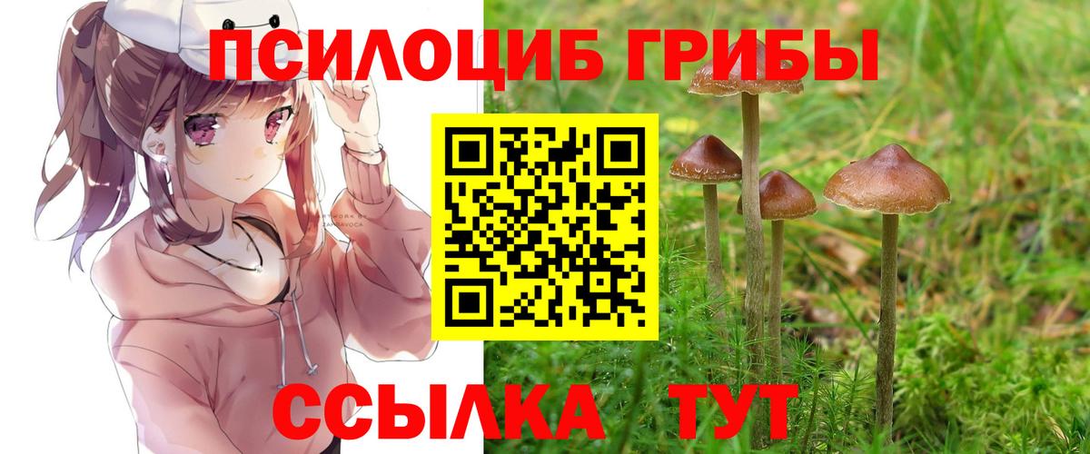 Галлюциногенные грибы мухоморы Мурино