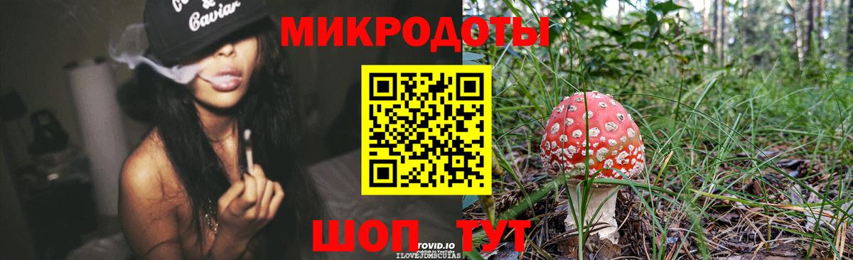 Мурино  где купить   Вход с VPN  Псилоцибиновые грибы мицелий 